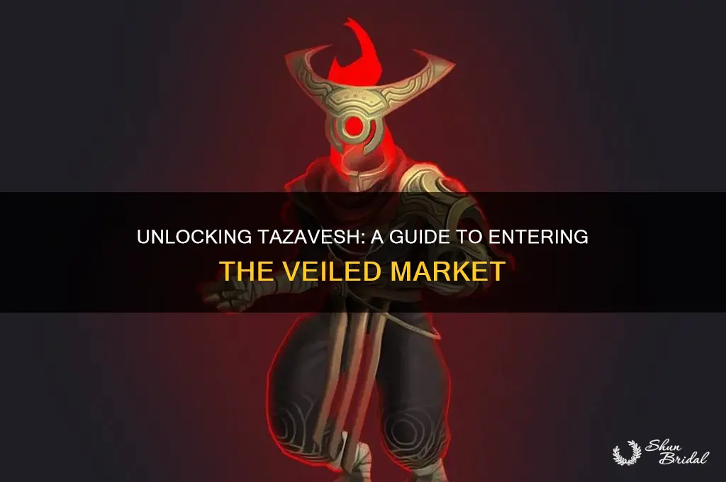 how to enter tazavesh the veiled market