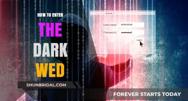 Exploring the Dark Web: A Beginner's Guide to Safe Access