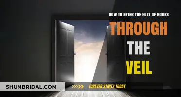Piercing the Veil: Accessing the Holy of Holies in Worship