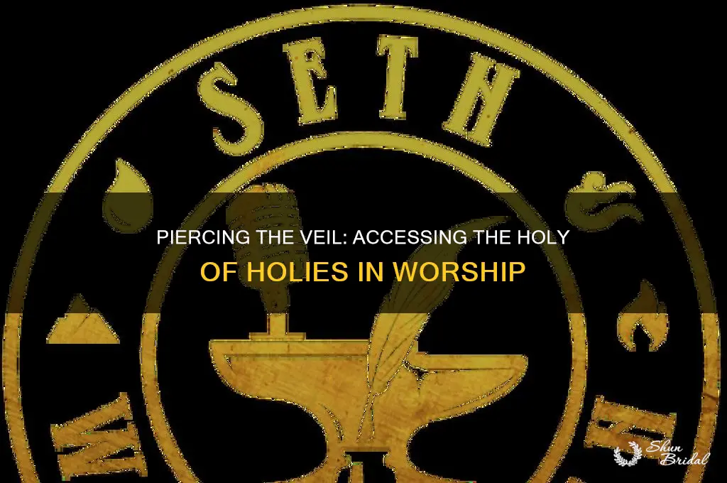 how to enter the holy of holies through the veil