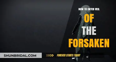 Mastering Veil of the Forsaken: A Step-by-Step Entry Guide