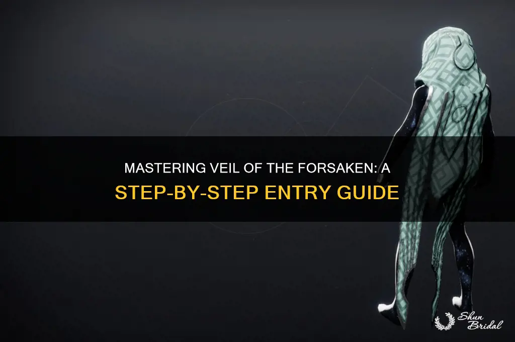 how to enter veil of the forsaken