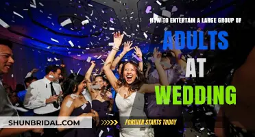 Creative Wedding Entertainment Ideas for Engaging Large Adult Groups