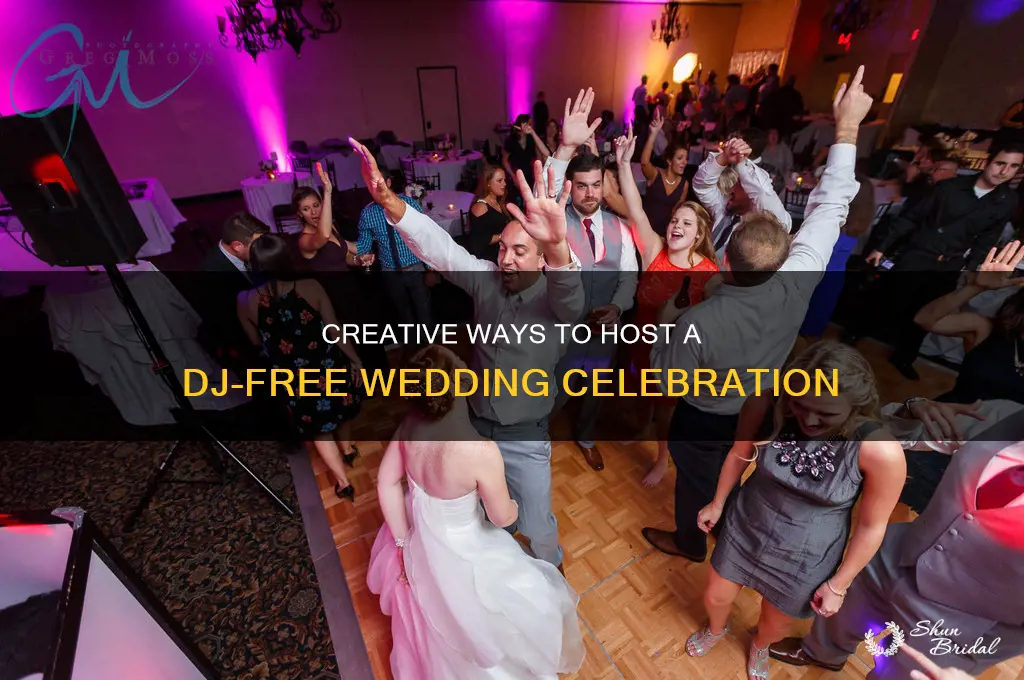 how to entertain without a wedding dj