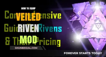 Mastering Veiled Riven Mods: A Step-by-Step Equipping Guide