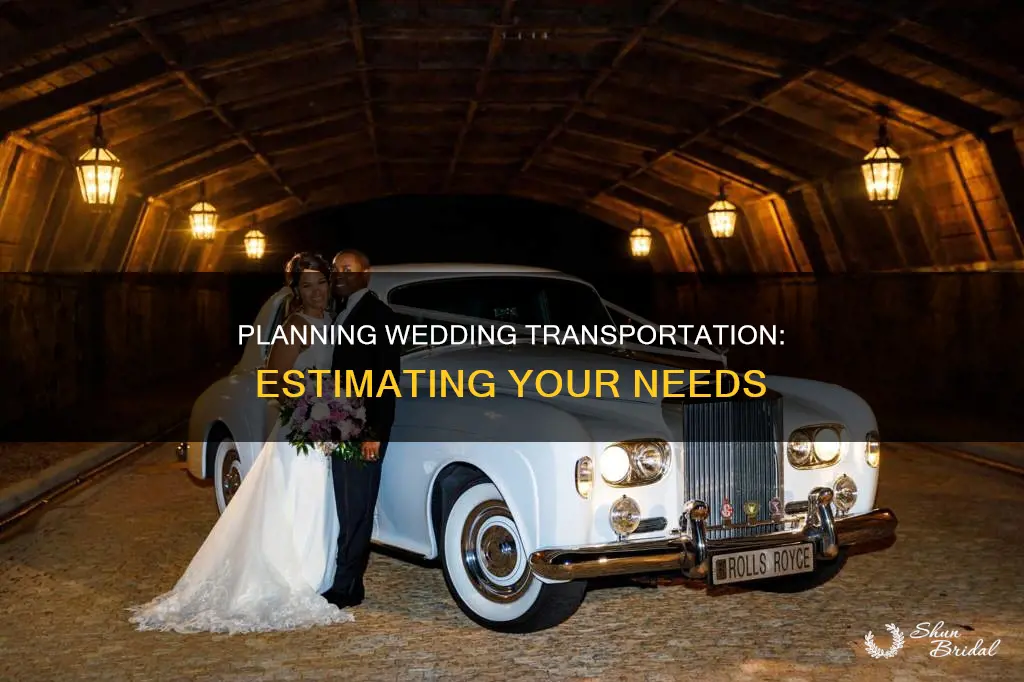 how to estimate wedding transportation needs