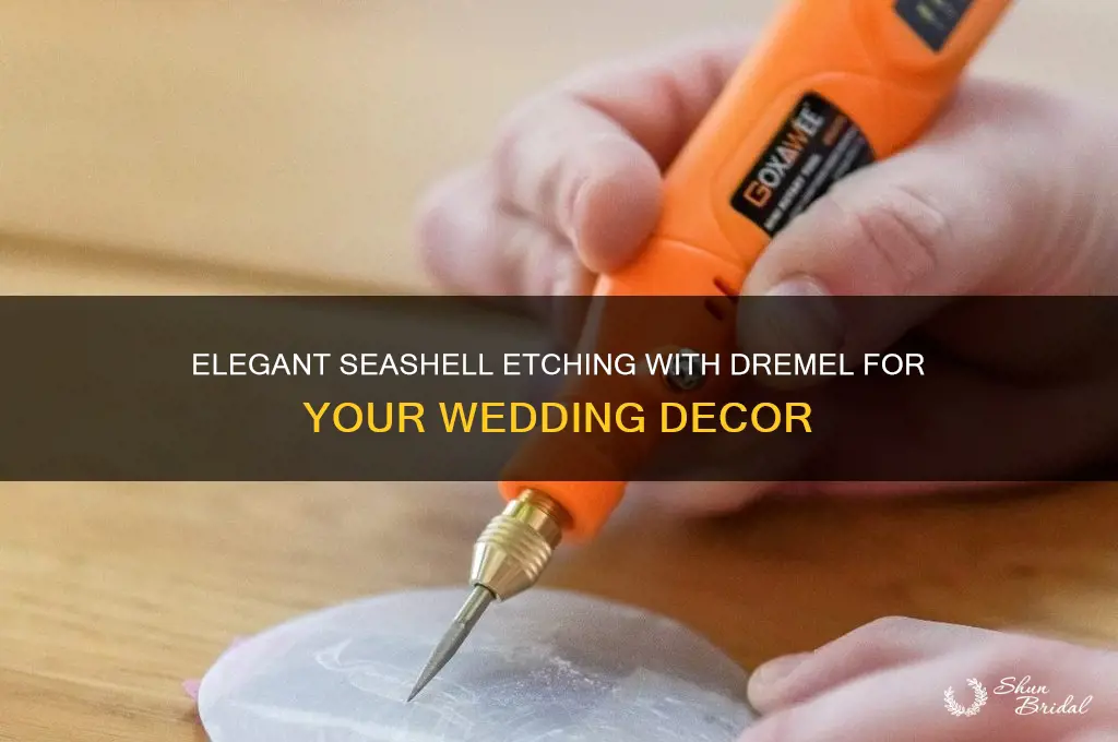 how to etch with dremel on seashells for wedding