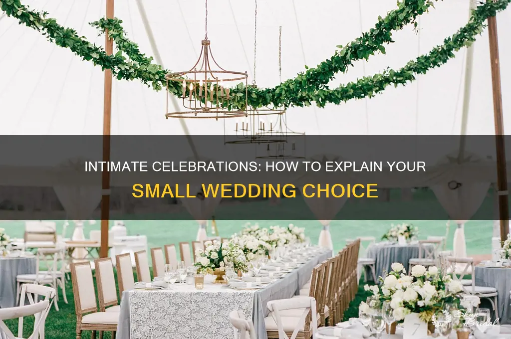how to explain a small wedding