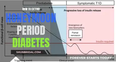 Honeymoon Phase: Strategies to Prolong Diabetes Management Success