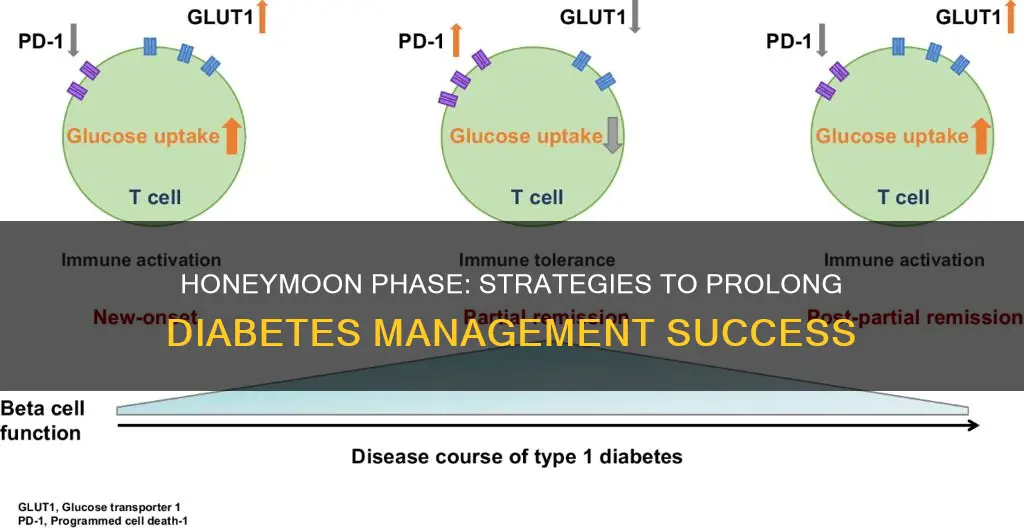 how to extend honeymoon period diabetes