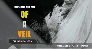 Mastering Veil Photography: Techniques to Fake Blur Parts of a Veil