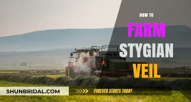 Mastering Stygian Veil Farming: Efficient Strategies for Maximum Yield