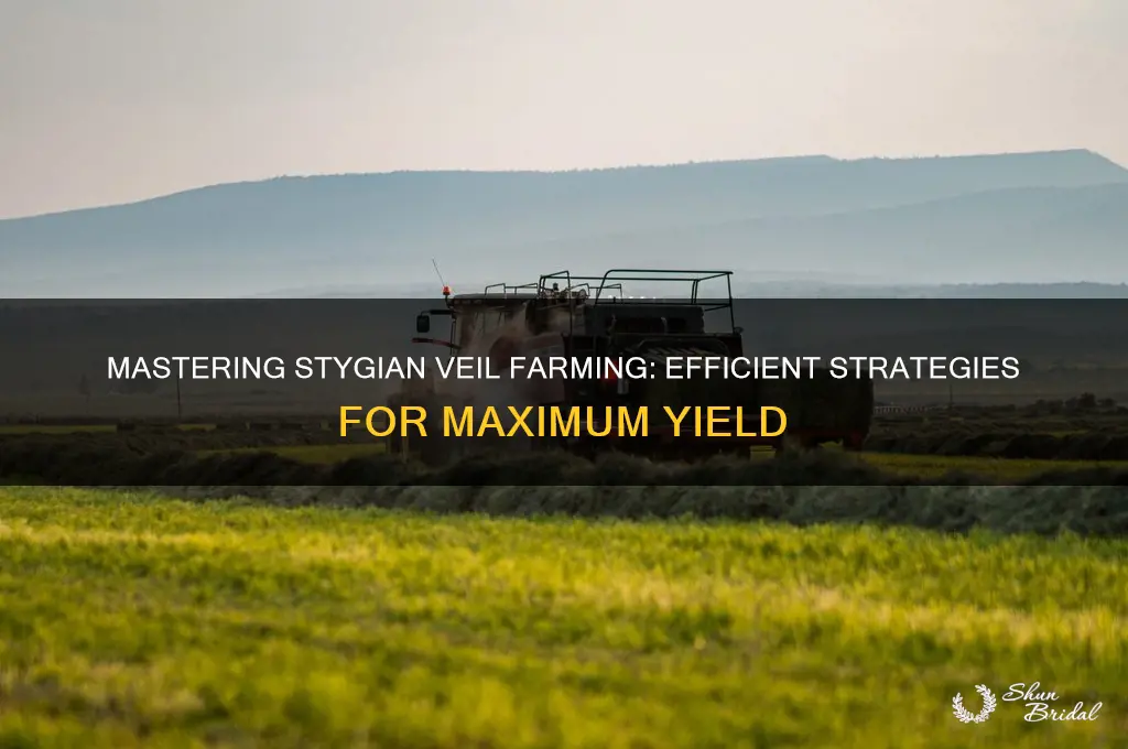 how to farm stygian veil