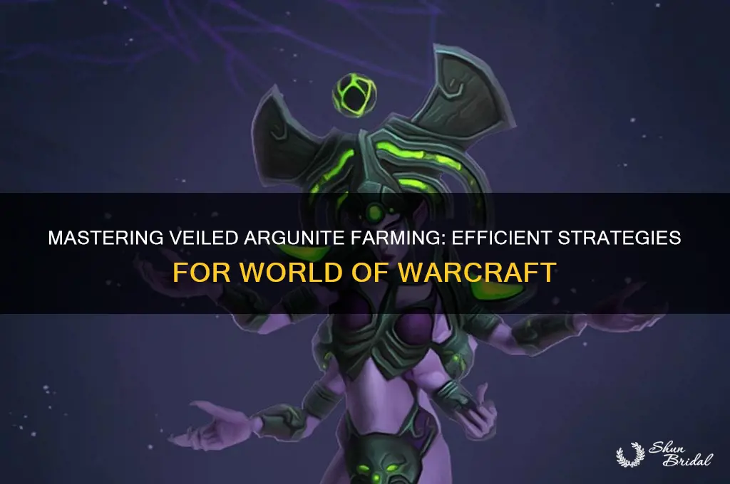 how to farm veiled argunite