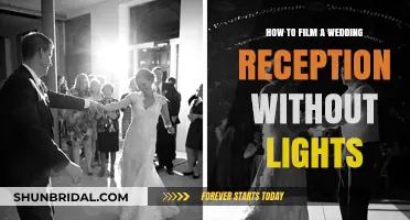 Filming Wedding Receptions: Natural Light Techniques
