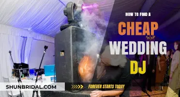 Affordable Wedding DJ Tips: How to Find Quality on a Budget