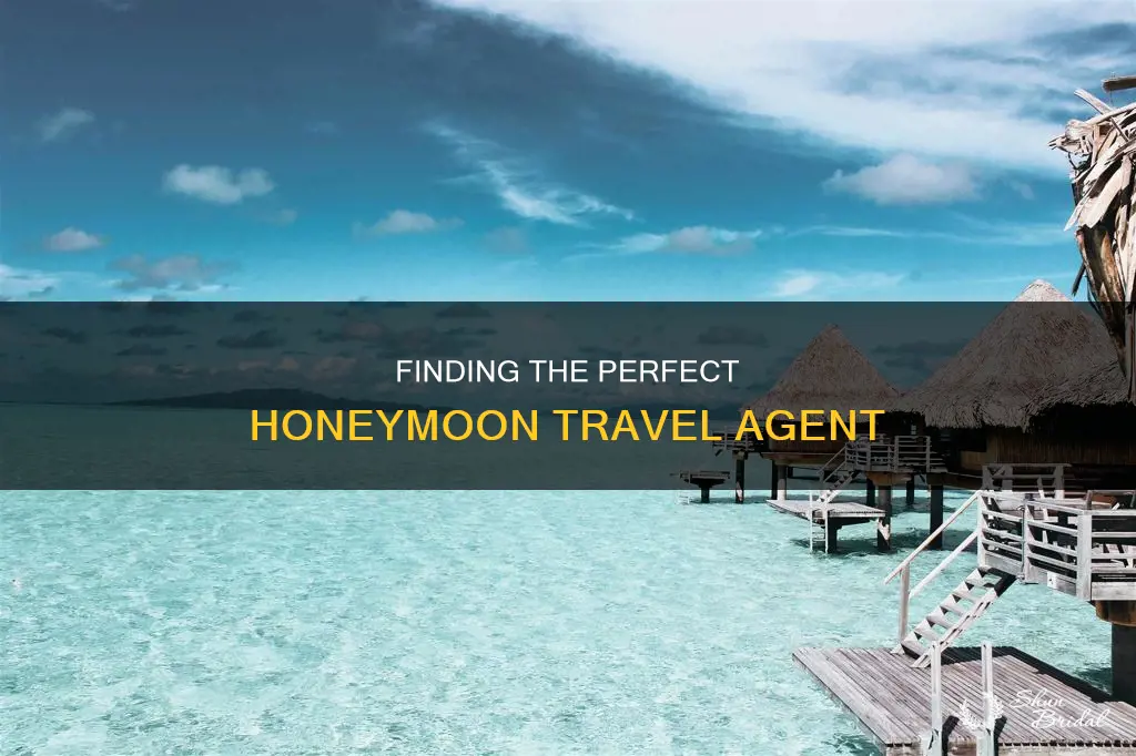 how to find a honeymoon travel agent
