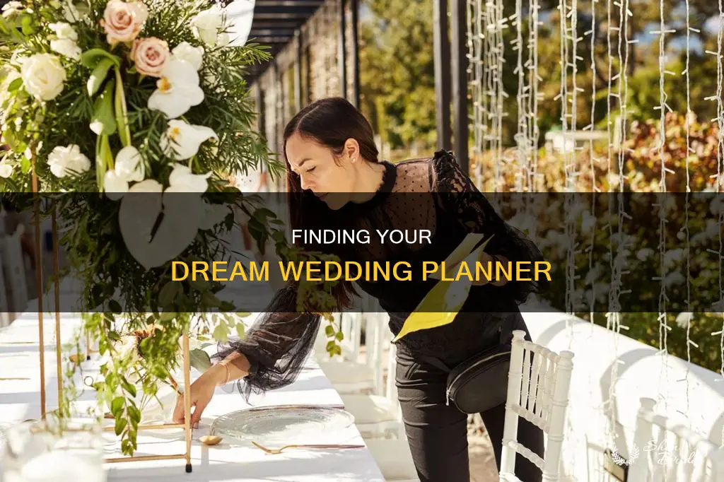 how to find a quality wedding planner