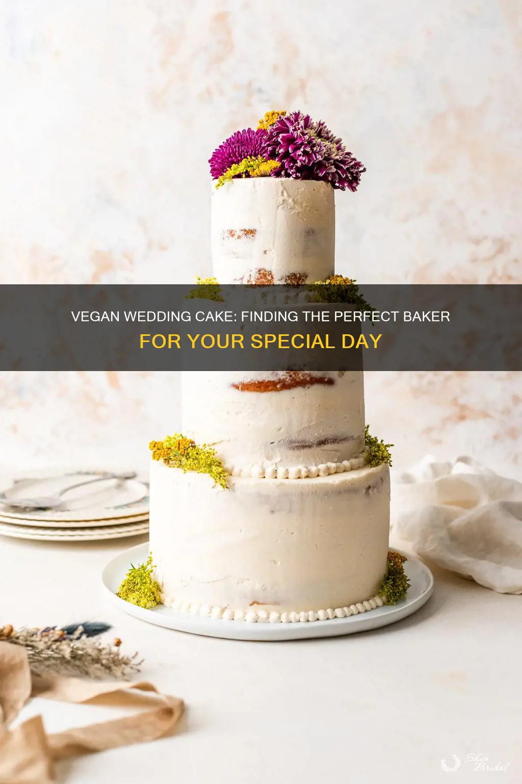 how to find a vegan baker for wedding cake