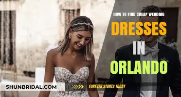 Orlando Wedding Dresses: Affordable, Dreamy Gowns