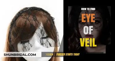 Discovering the Eye of the Veil: A Comprehensive Guide