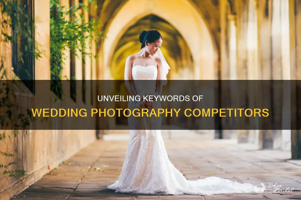 how to find keywords used by other wedding photographers