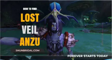 Finding Your Lost Veil Anzu: Tips and Tricks for Recovery