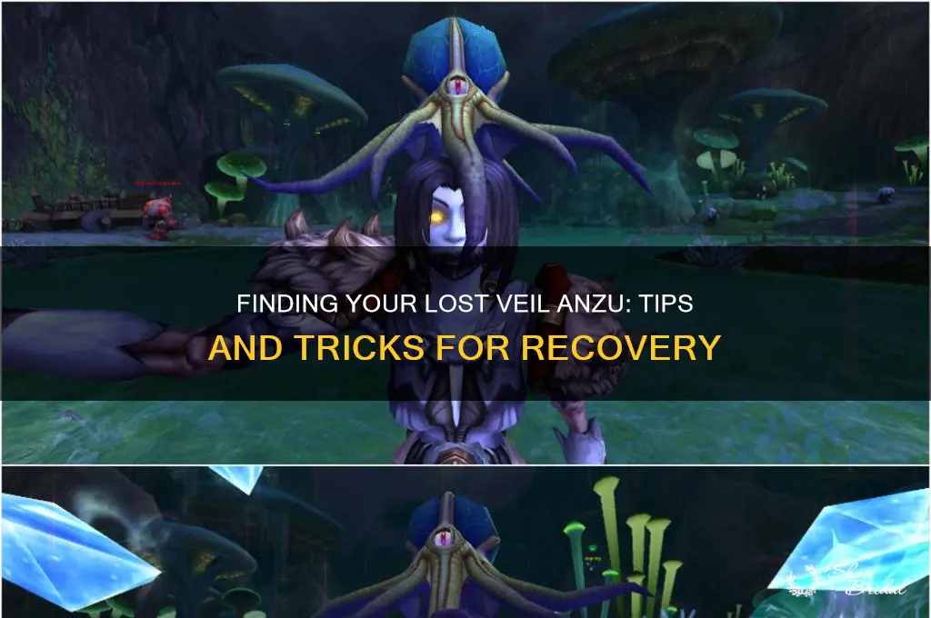 how to find lost veil anzu
