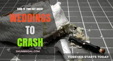 Sneak into Celebrations: A Guide to Finding Weddings to Crash