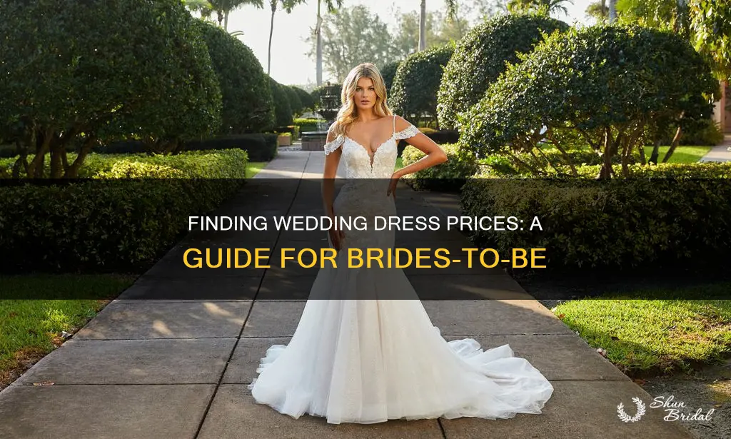 how to find out wedding dress prices