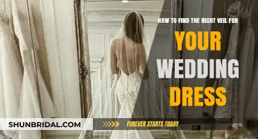 Veil and Dress: Finding Your Perfect Wedding Match