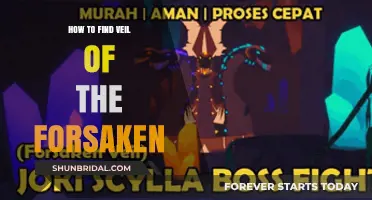 Discovering Veil of the Forsaken: A Comprehensive Guide to Finding It