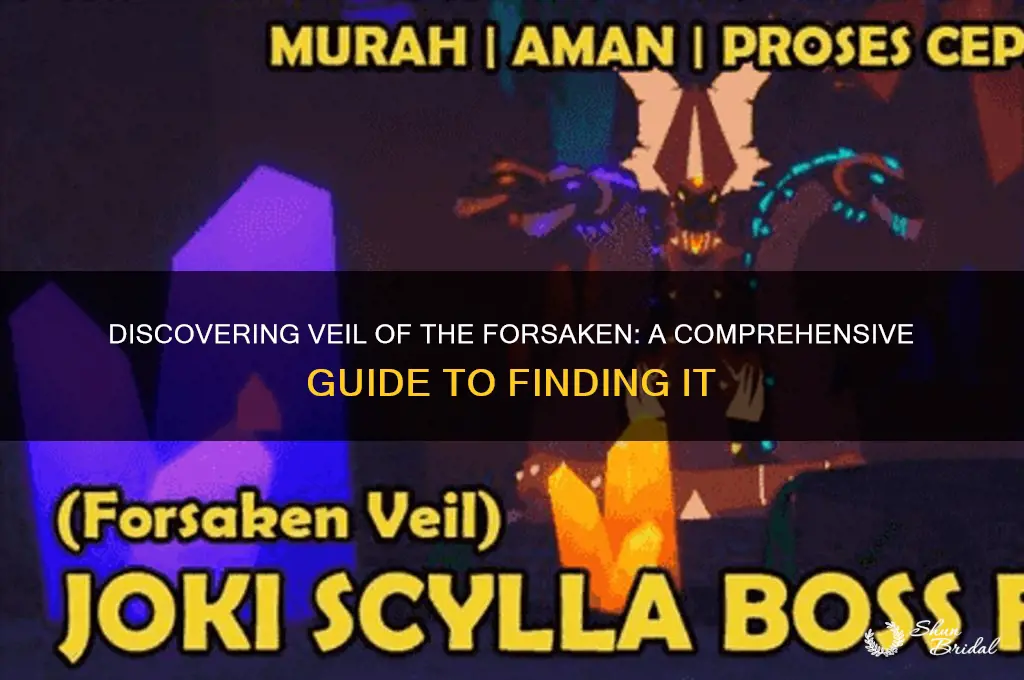 how to find veil of the forsaken