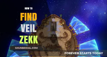 Discovering Veil Zekk: A Comprehensive Guide to Locating the Elusive Character
