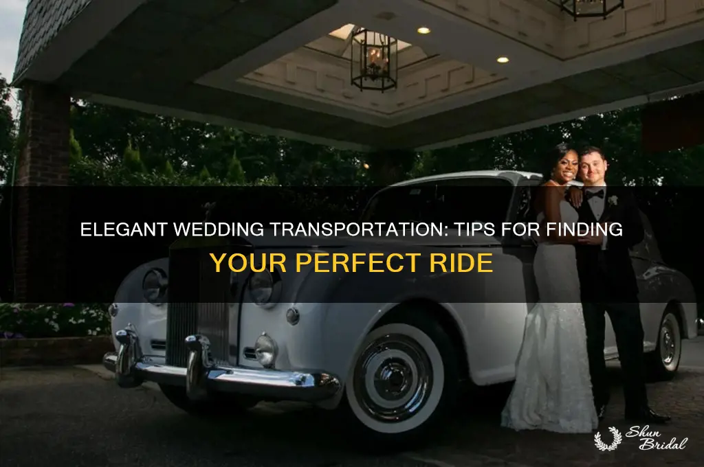 how to find wedding transportation