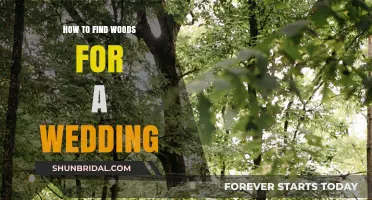 Finding the Perfect Woodland Venue for Your Dream Wedding