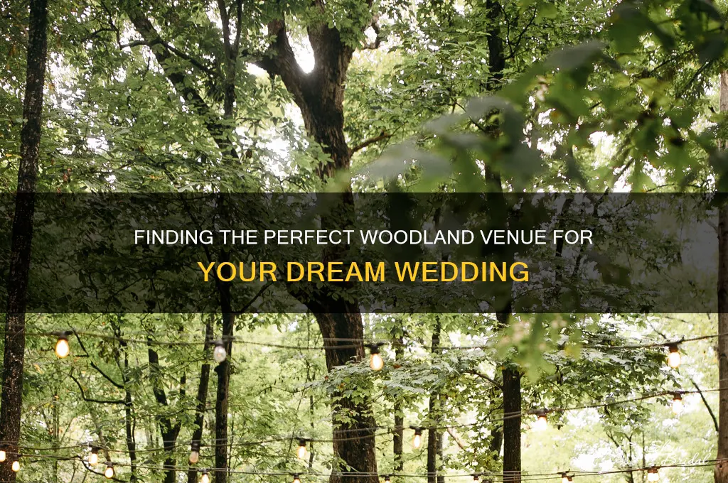 how to find woods for a wedding