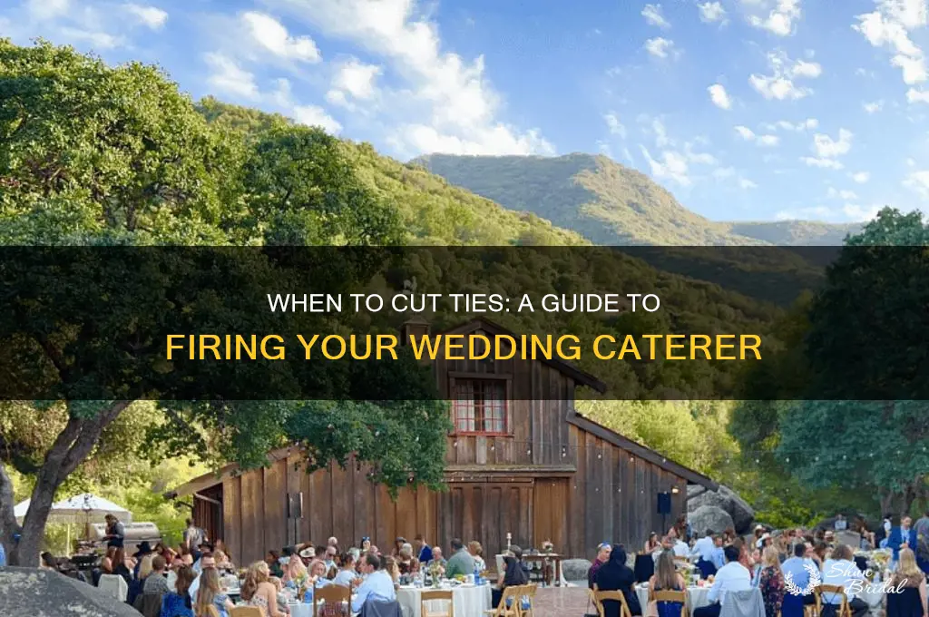 how to fire your wedding caterer