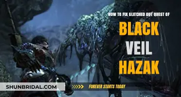 Fixing Black Veil Hazak's Glitched Quest: A Step-by-Step Guide