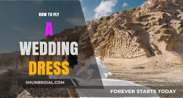Guide to Flying with a Wedding Dress