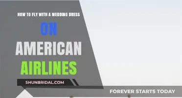 Flying with a Wedding Dress: American Airlines Guide