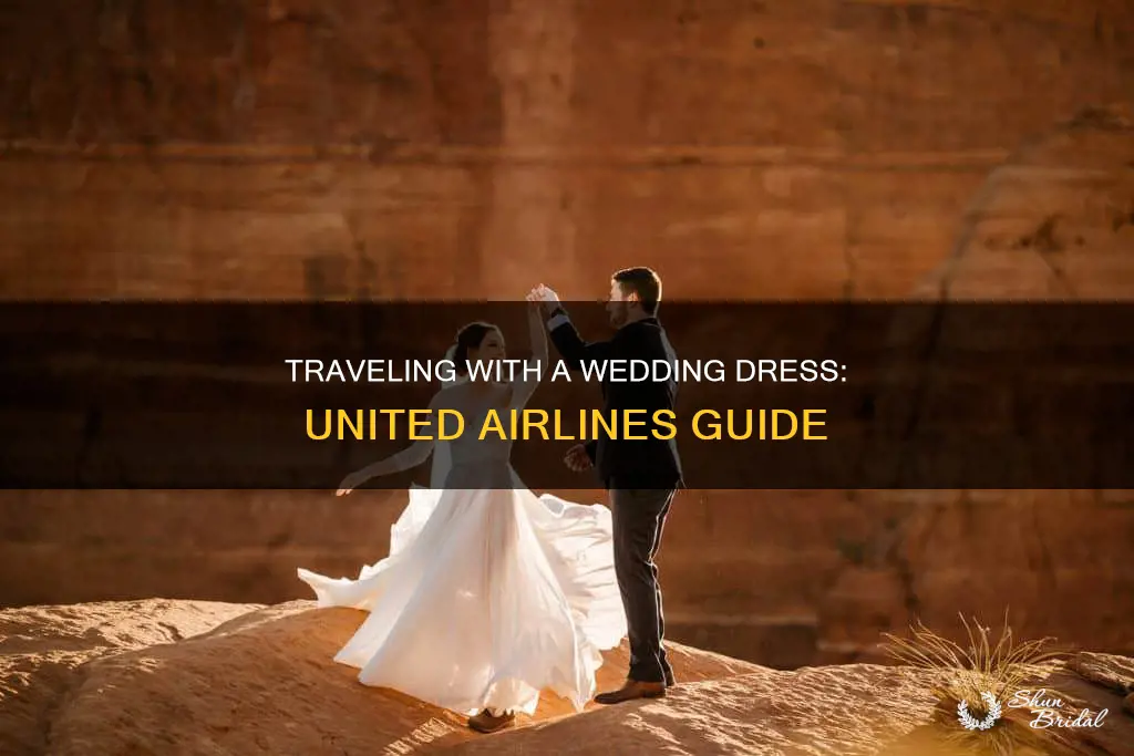 how to fly with a wedding dress united