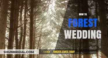 Enchanting Forest Wedding Guide: Planning Your Magical Woodland Celebration