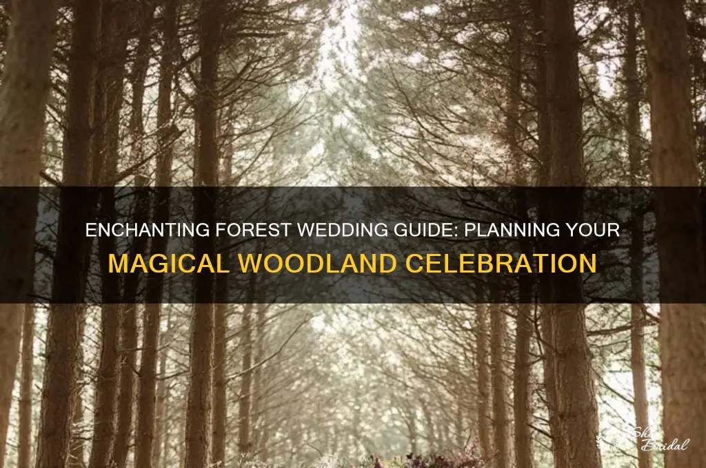 how to forest wedding
