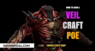 Mastering Veil Crafting in Path of Exile: A Comprehensive Guide