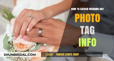 Effortless Wedding Photo Tagging: Tips to Collect Guest Info Seamlessly