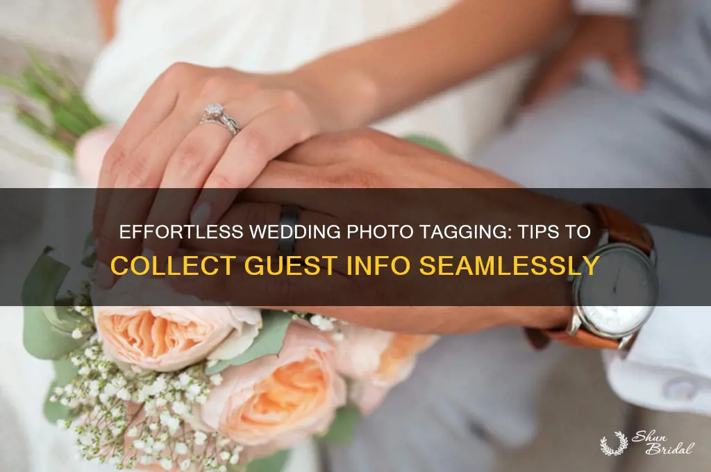 how to gather wedding day photo tag info