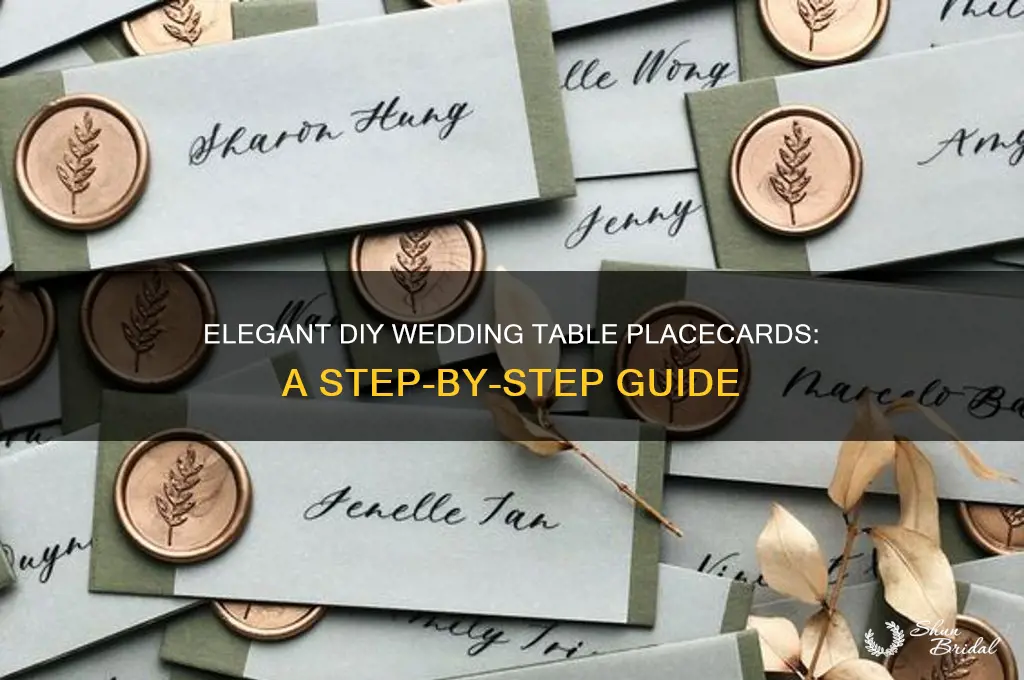 Elegant Diy Wedding Table Placecards: A Step-By-Step Guide | ShunBridal