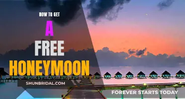 Honeymoon on a Budget: Secrets to a Free Getaway