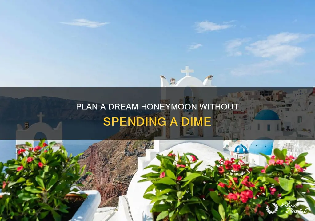 how to get a free honeymoon
